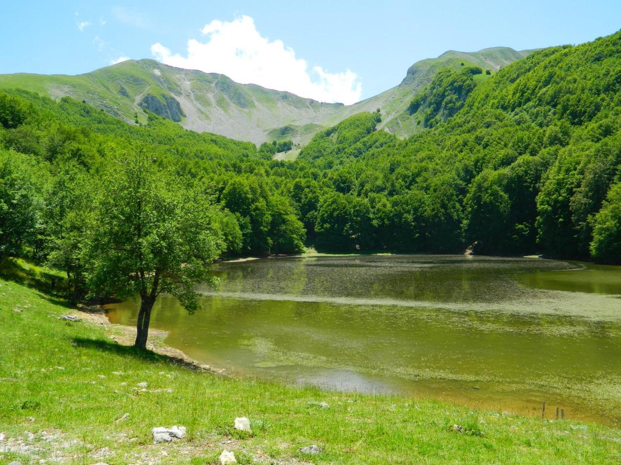 L'Antico Ritrovo Bed & Breakfast Moliterno ภายนอก รูปภาพ